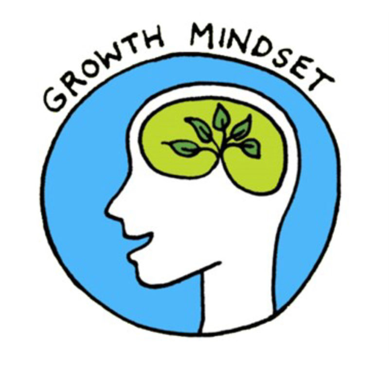 Как развить в себе мышление роста