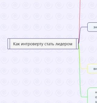 Как интроверту стать лидером