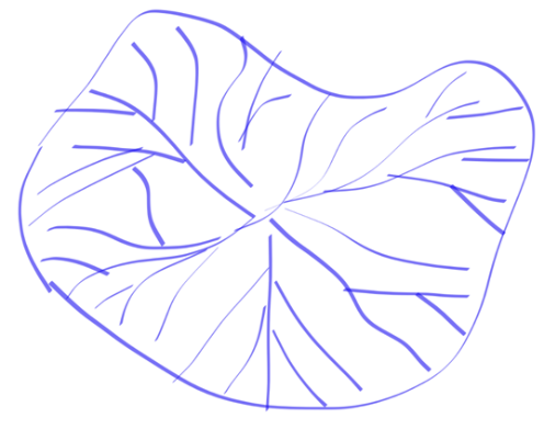 c2d41108a1bb083661cdac44de6152f7.png